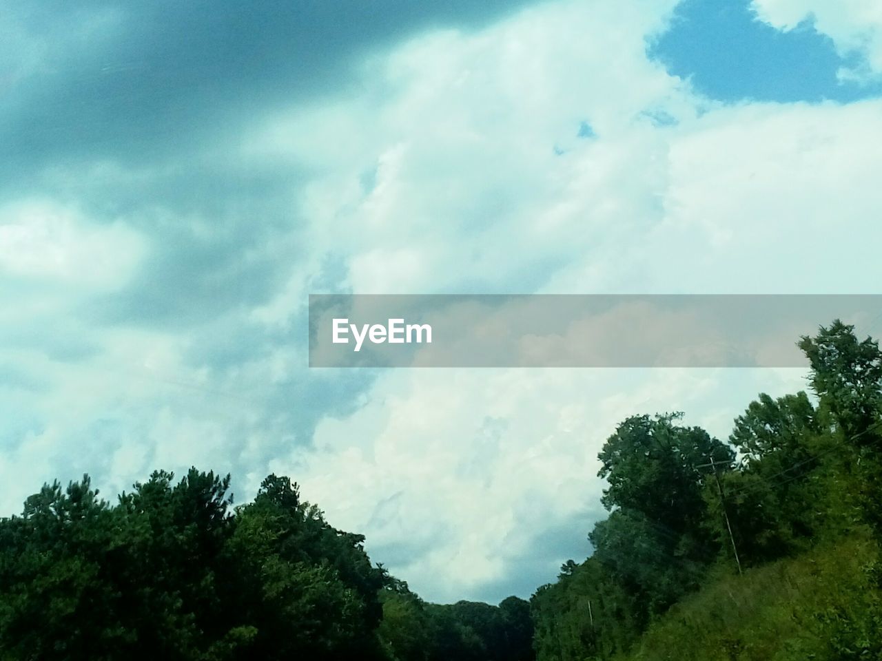 LOW ANGLE VIEW OF TREES AGAINST CLOUDY SKY