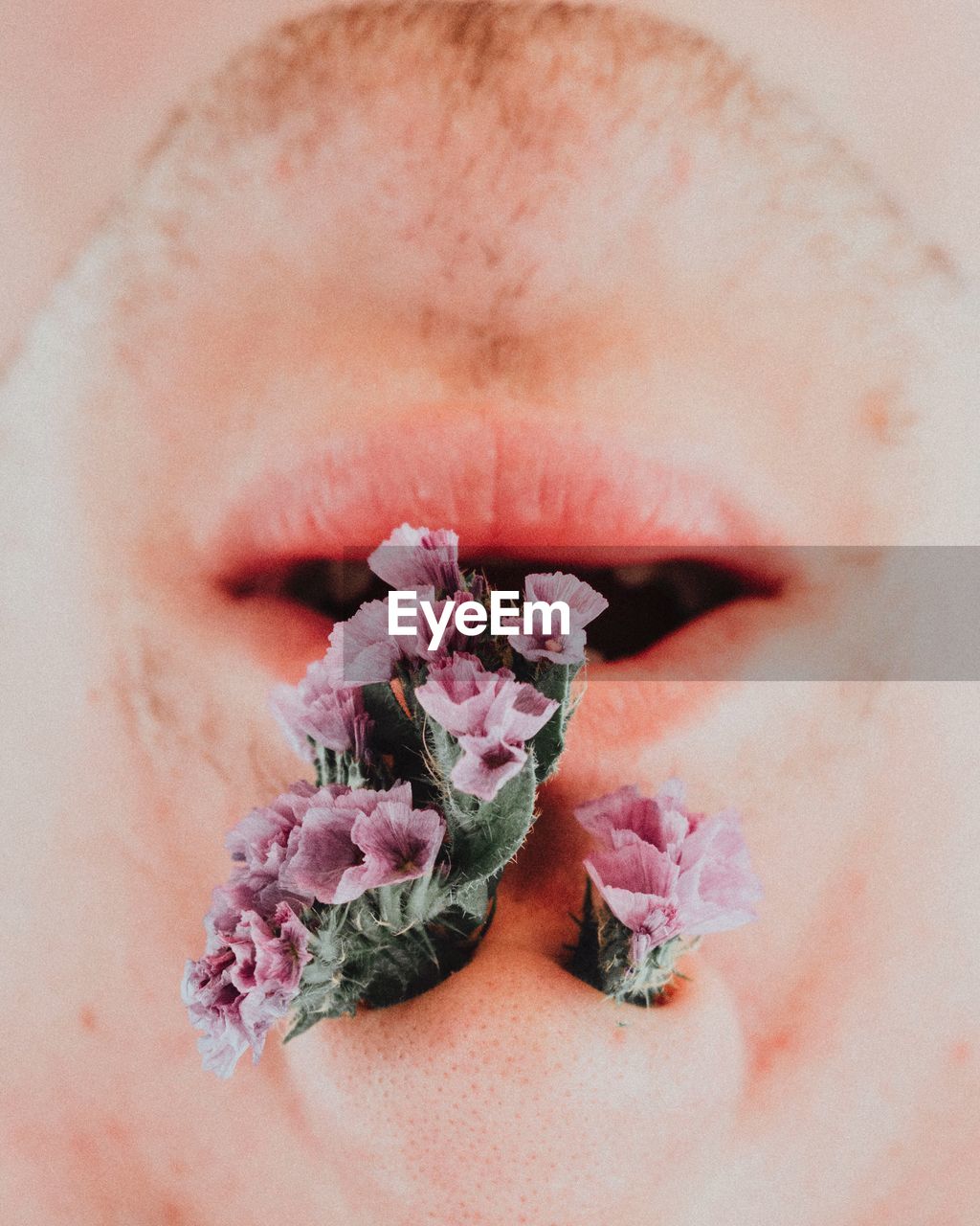 CLOSE-UP OF PERSON HOLDING PINK FLOWER