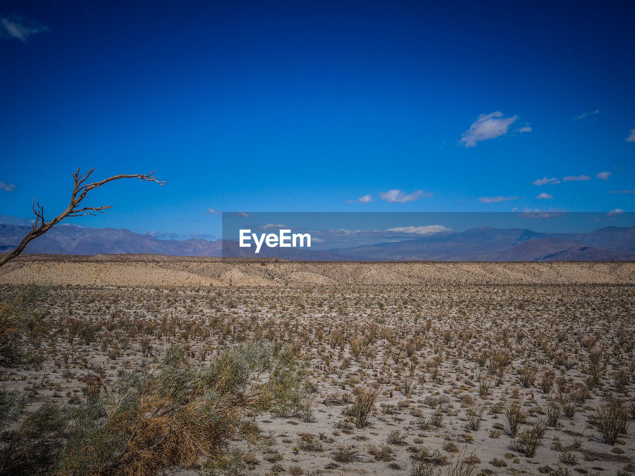 Scenic view of desert against blue sky