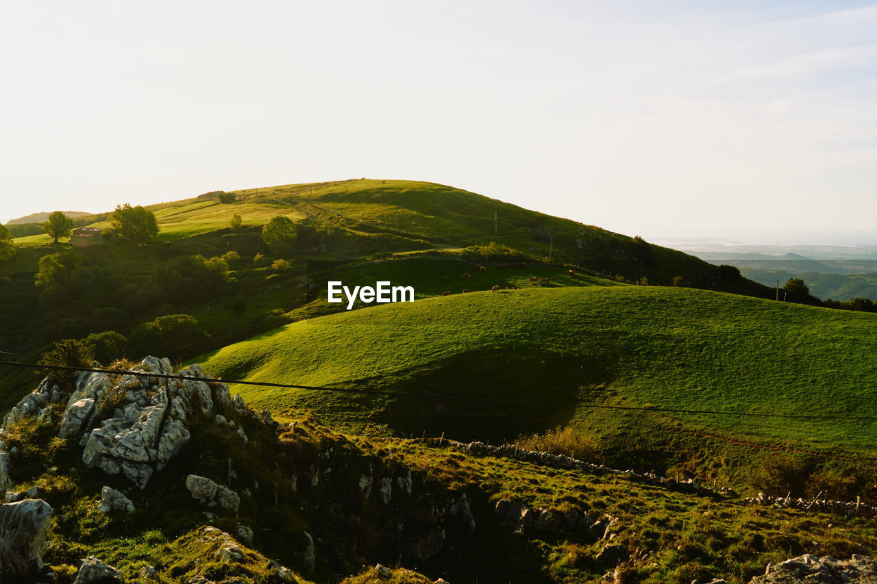 SCENIC VIEW OF MOUNTAIN AGAINST SKY