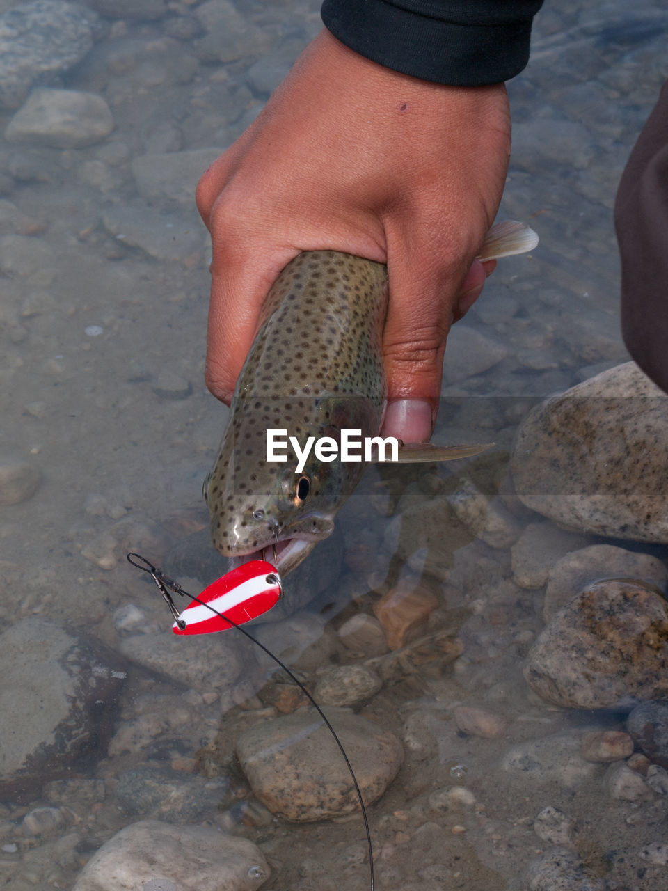 LOW SECTION OF PERSON WITH FISH ON ROCK