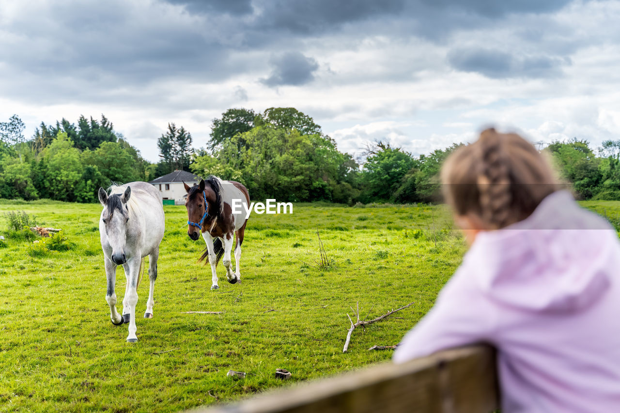 Cute girl looking at horse at field against sky