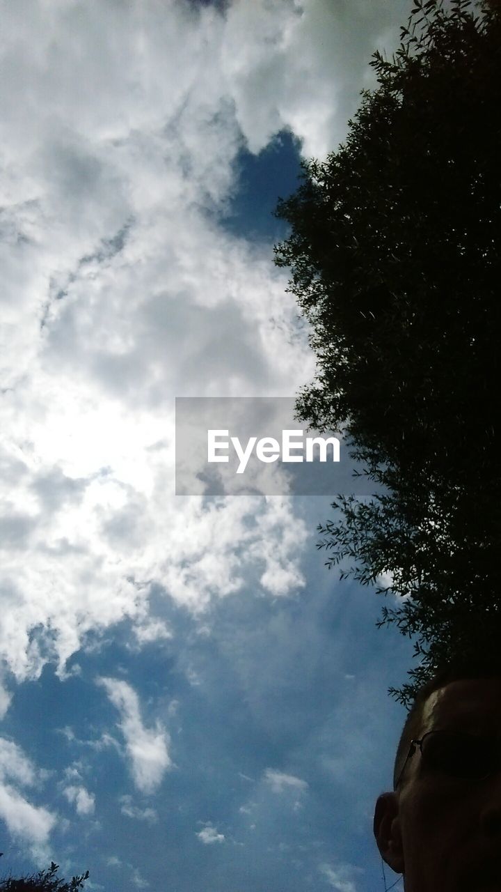 LOW ANGLE VIEW OF TREES AGAINST CLOUDY SKY