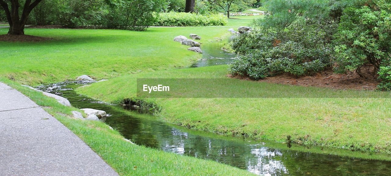 POND WITH TREES IN BACKGROUND