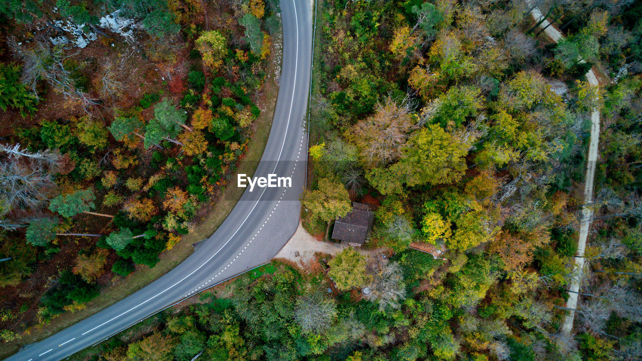 plant, autumn, tree, transportation, high angle view, nature, road, leaf, no people, growth, forest, beauty in nature, land, day, green, aerial view, scenics - nature, outdoors, plant part, tranquility, mode of transportation, landscape, non-urban scene, environment, aerial photography, highway, tranquil scene, travel