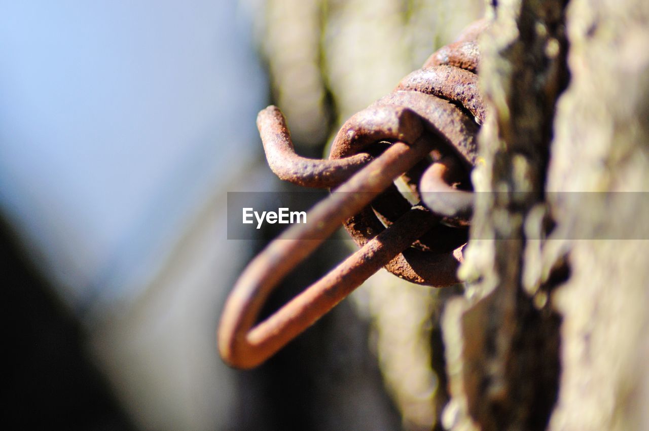 Close-up of rusty metal chain