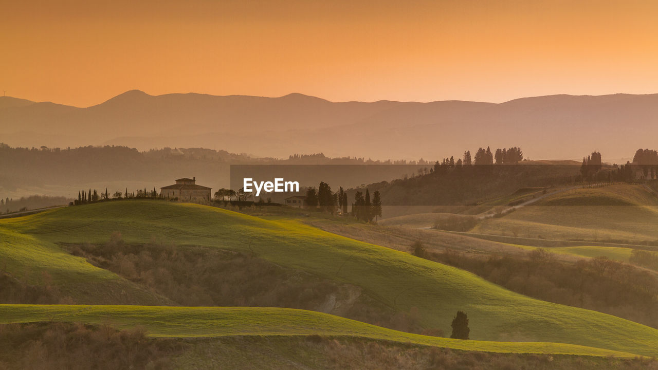 Scenic view of agricultural field against sky during sunset