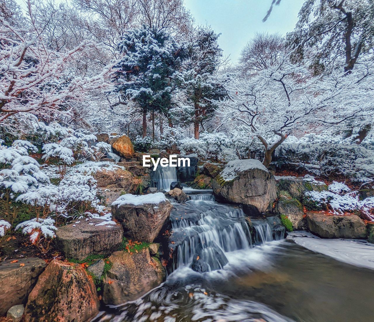 view of waterfall in forest