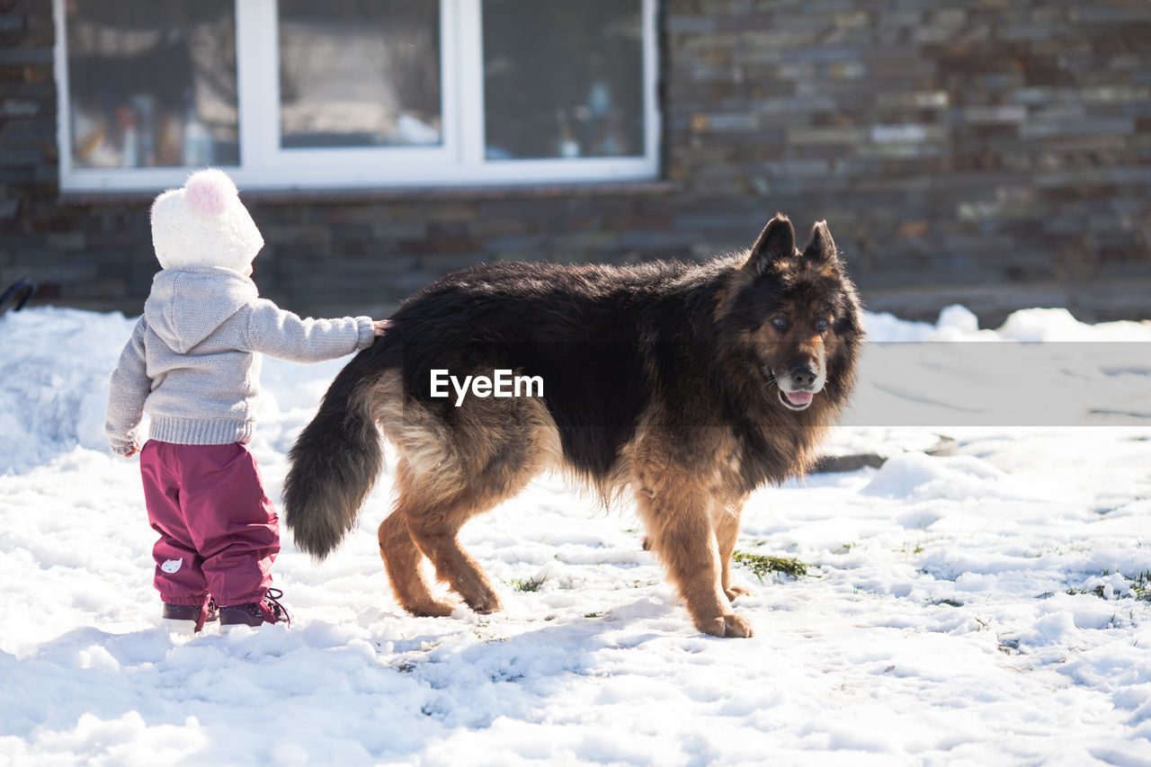 Girl with dog on snow