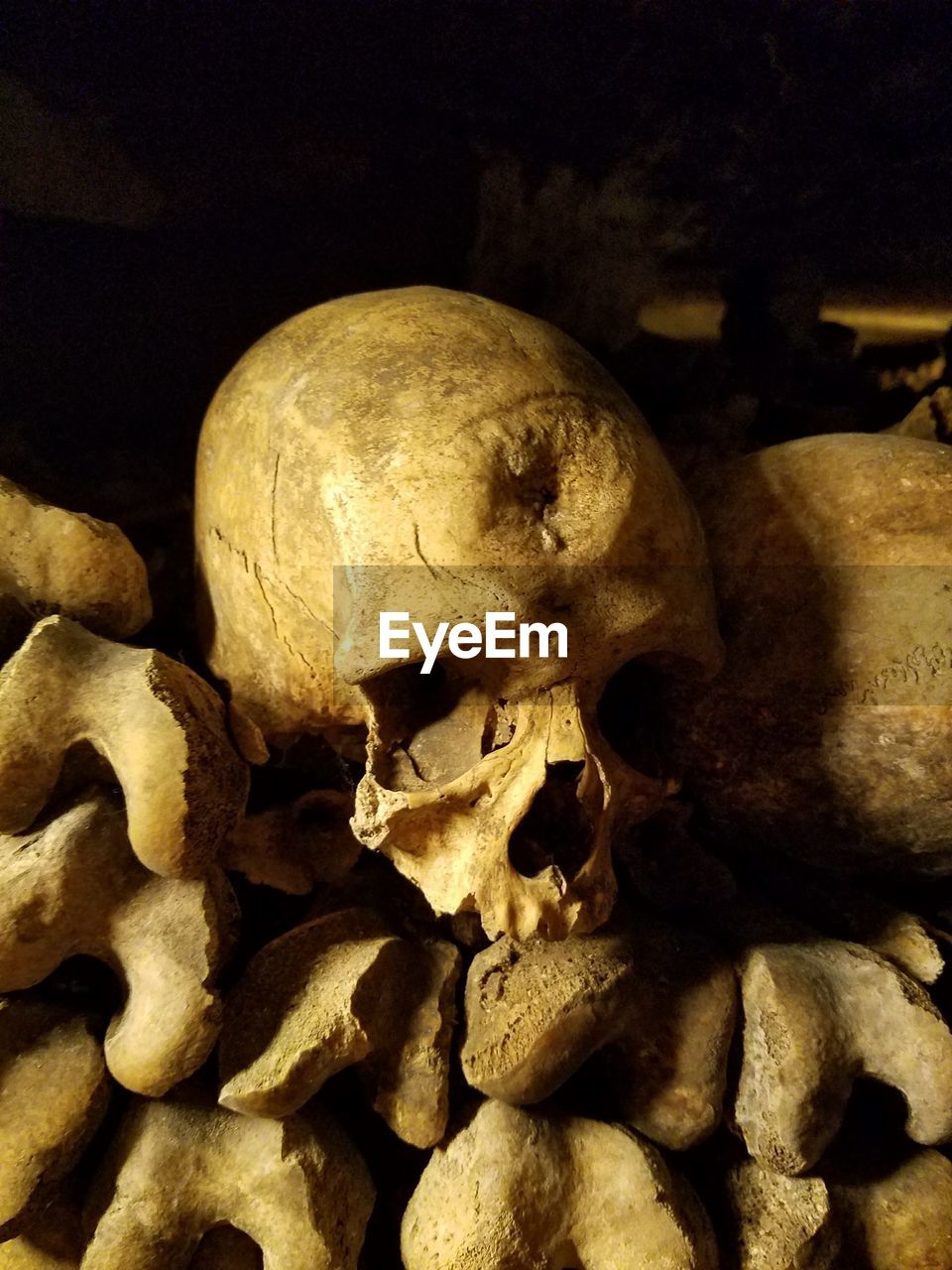 Close-up of human skulls in cave