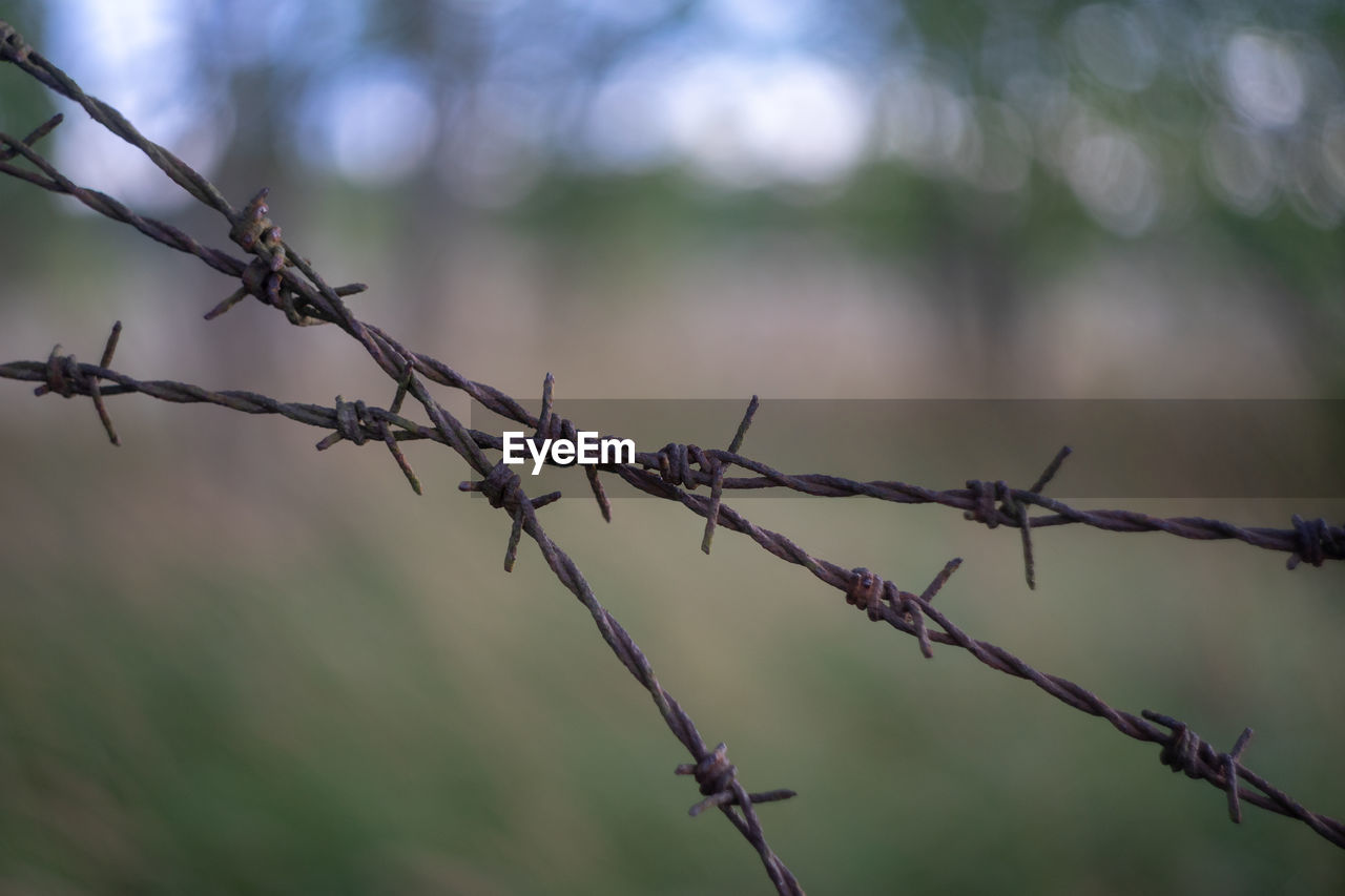 CLOSE-UP OF BARBED WIRE
