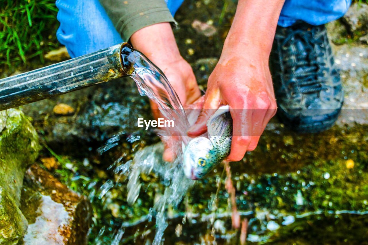 Washing fish under running water