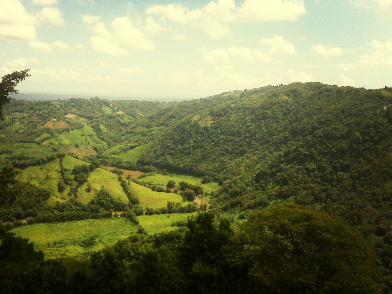 SCENIC VIEW OF MOUNTAINS