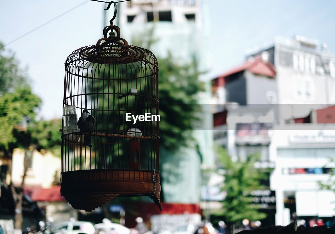 Low angle view of cage with a bird hanging on building
