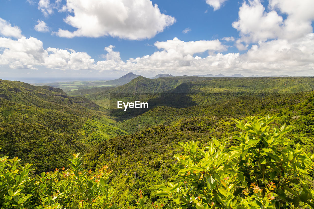 Panoramic overview on the wonderful landscape near chamarel on mauritius island, indian ocean