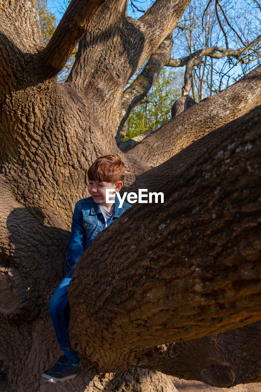 Low section of boy on  tree