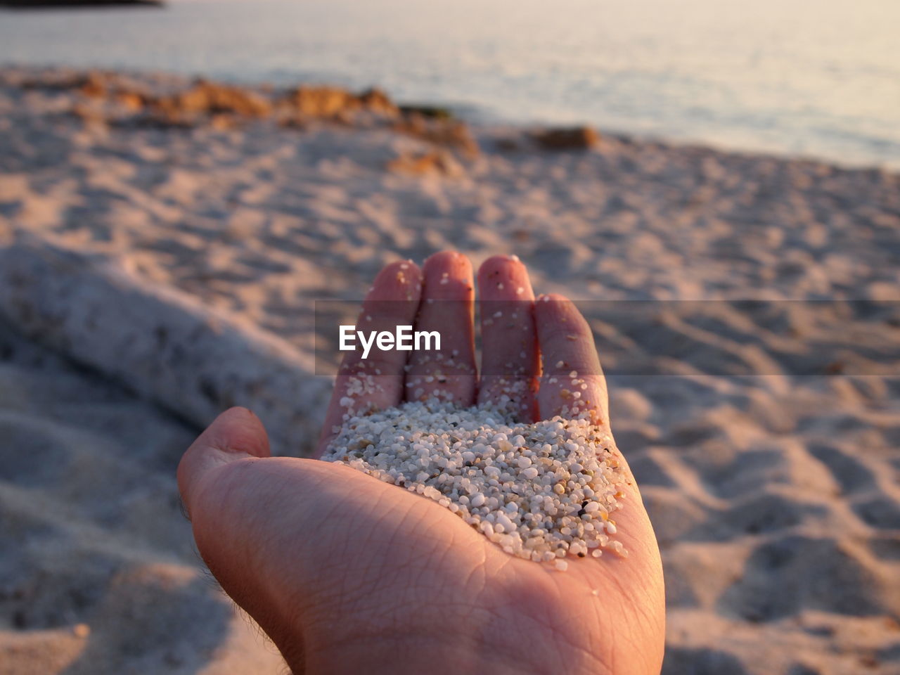 Cropped image of hand holding sand at beach