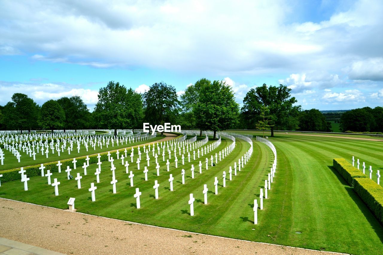 View of trees in distance at cemetery