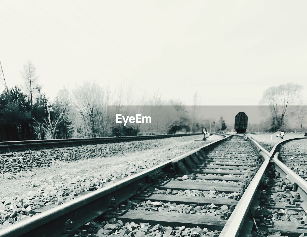 VIEW OF RAILWAY TRACKS AGAINST SNOW COVERED TREES