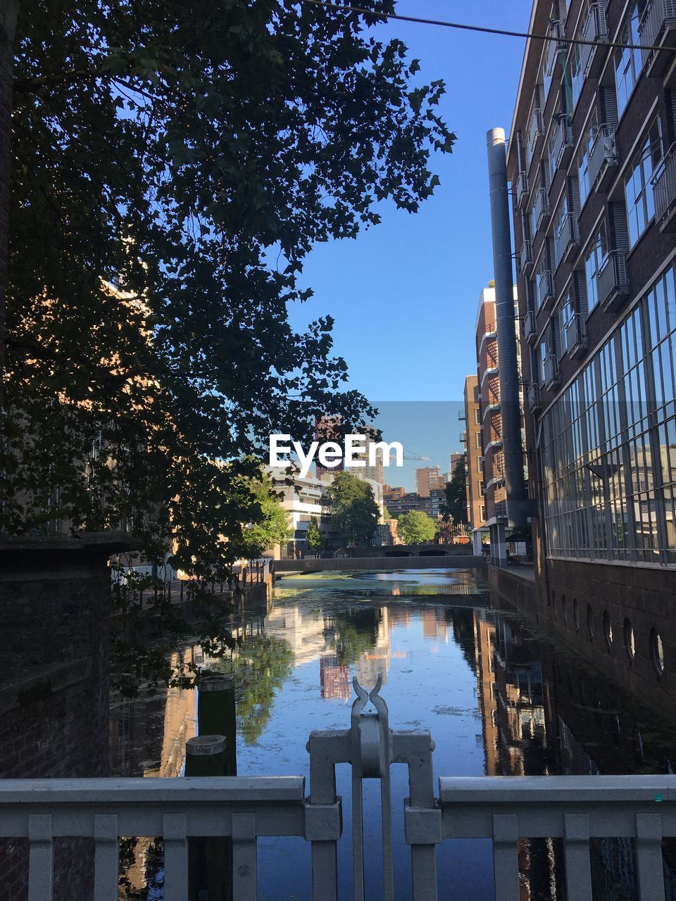 REFLECTION OF BUILDINGS AND TREES IN WATER