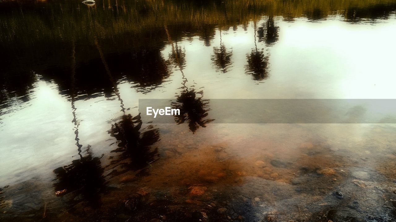 CLOSE-UP OF REFLECTION OF TREES IN WATER