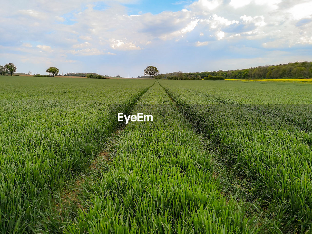 SCENIC VIEW OF FARM FIELD AGAINST SKY