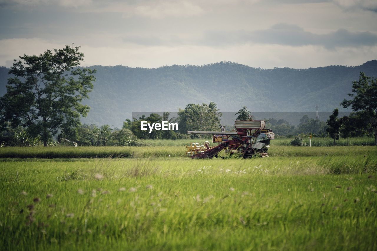 TRACTOR ON FIELD