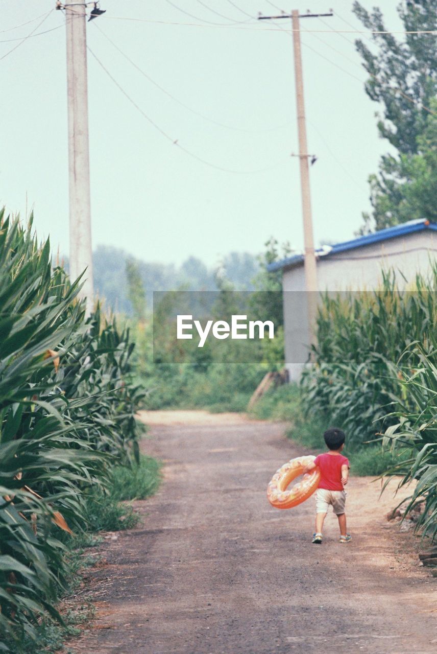 BOY WALKING WITH TOY AGAINST TREES