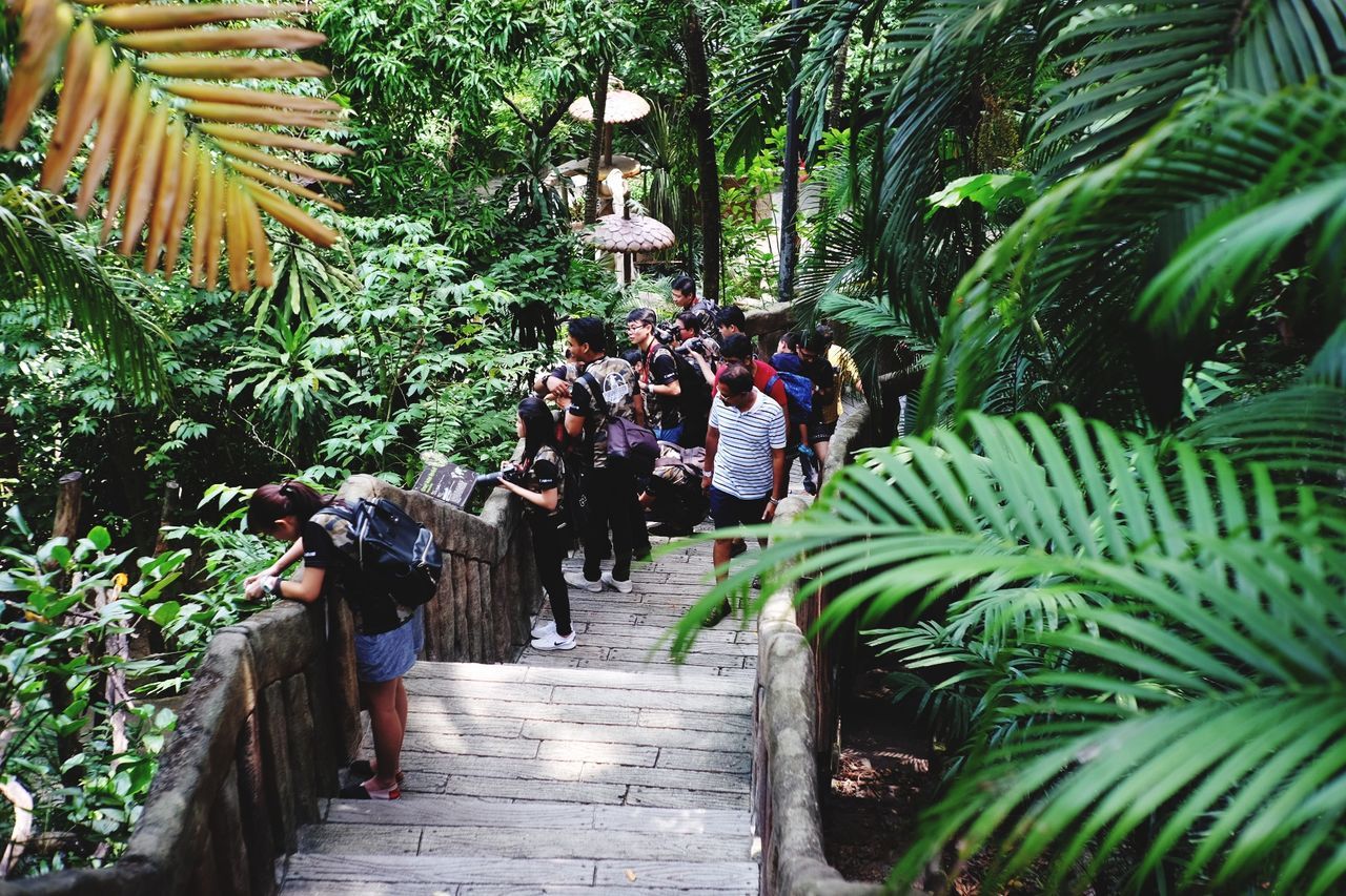 GROUP OF PEOPLE WALKING ON FOOTPATH