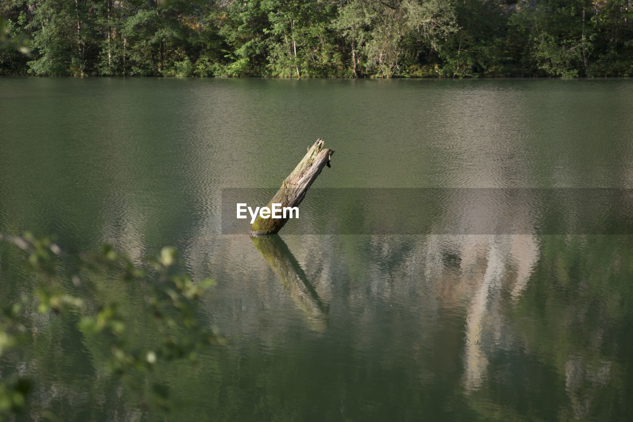 A river with floating water, a natural watercourse and landscape