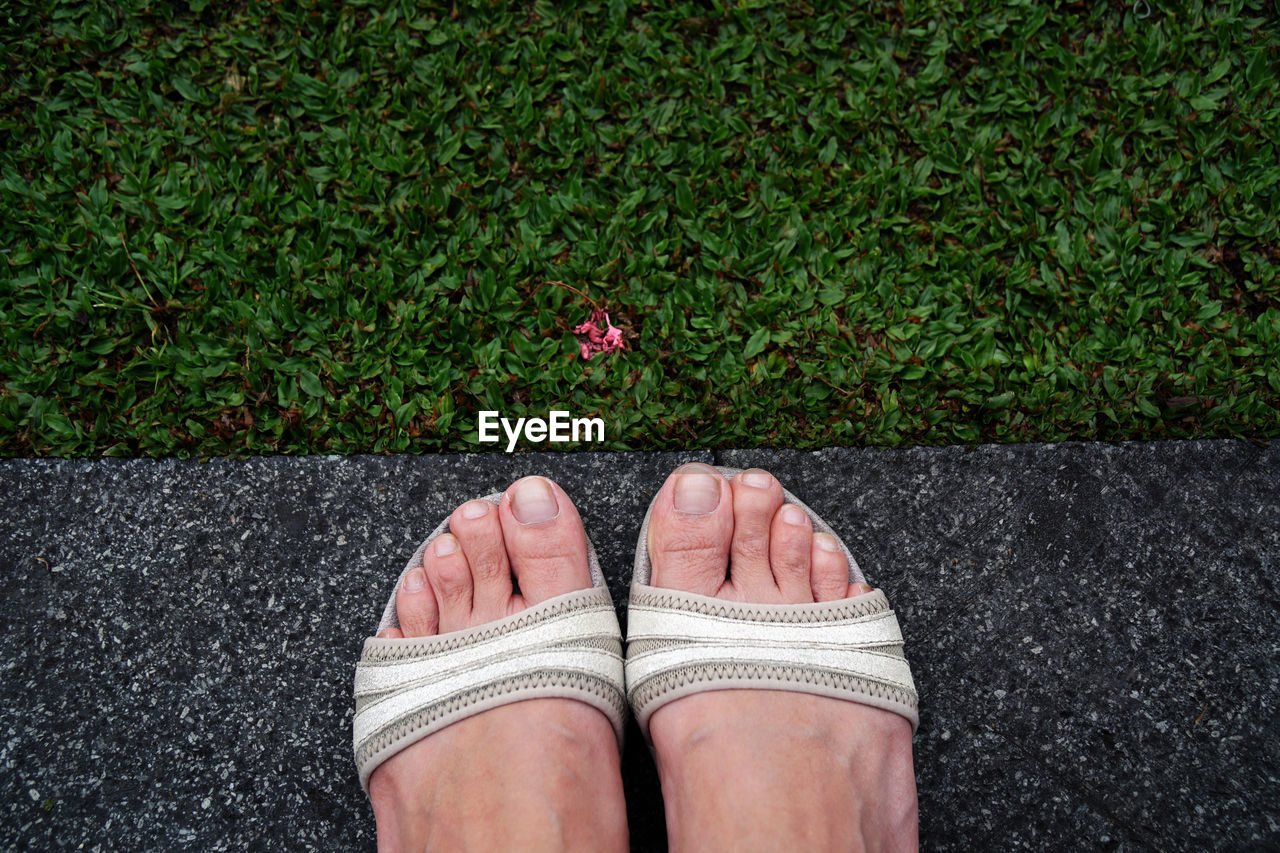Feet in a grass