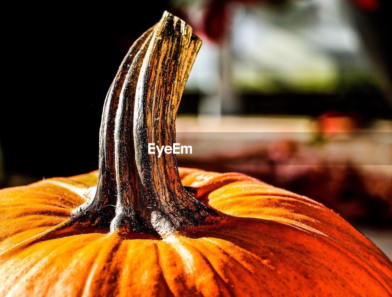 Close-up of pumpkin