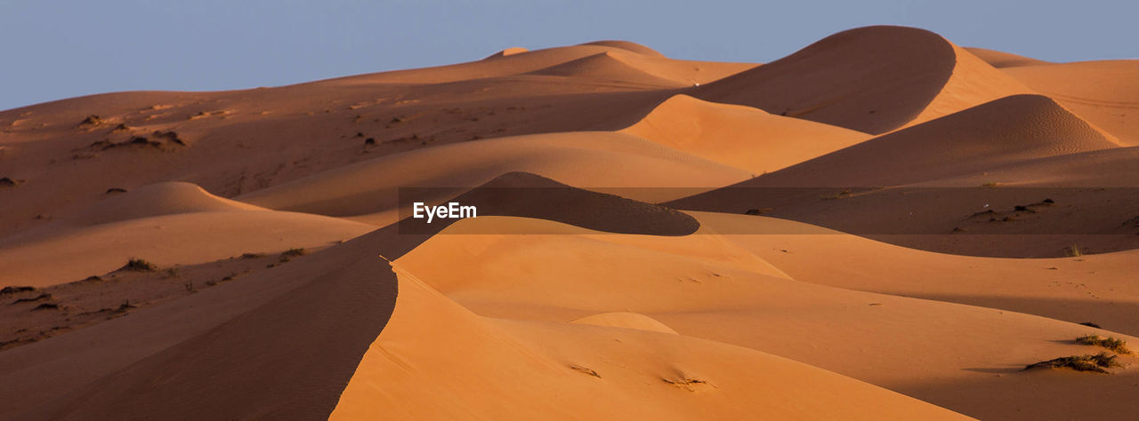 Scenic view of desert against sky