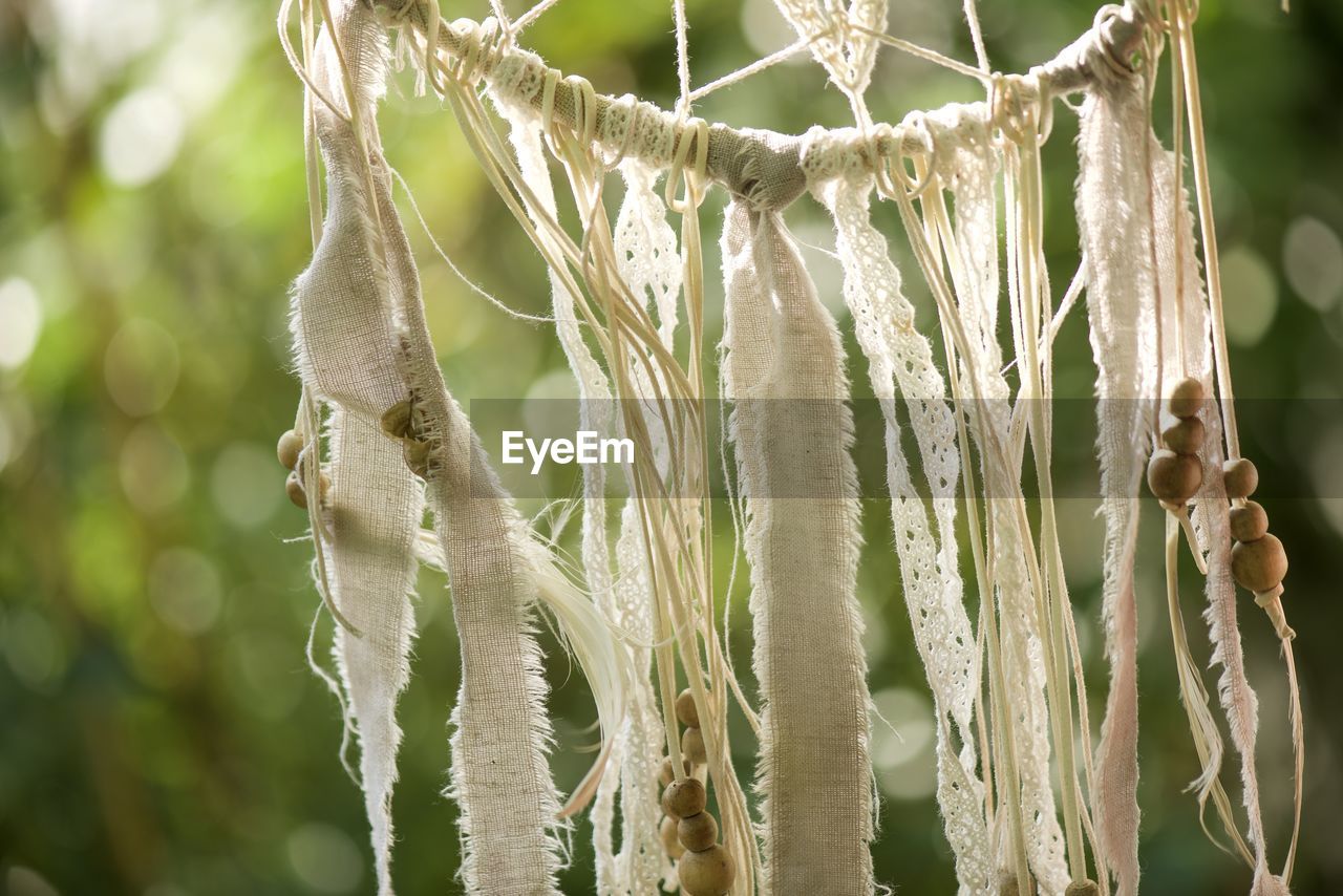 CLOSE-UP OF DRY LEAF HANGING OUTDOORS