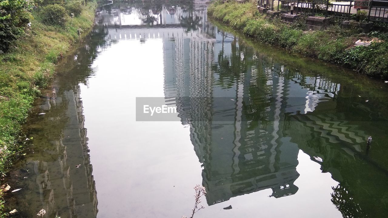 REFLECTION OF TREES IN LAKE