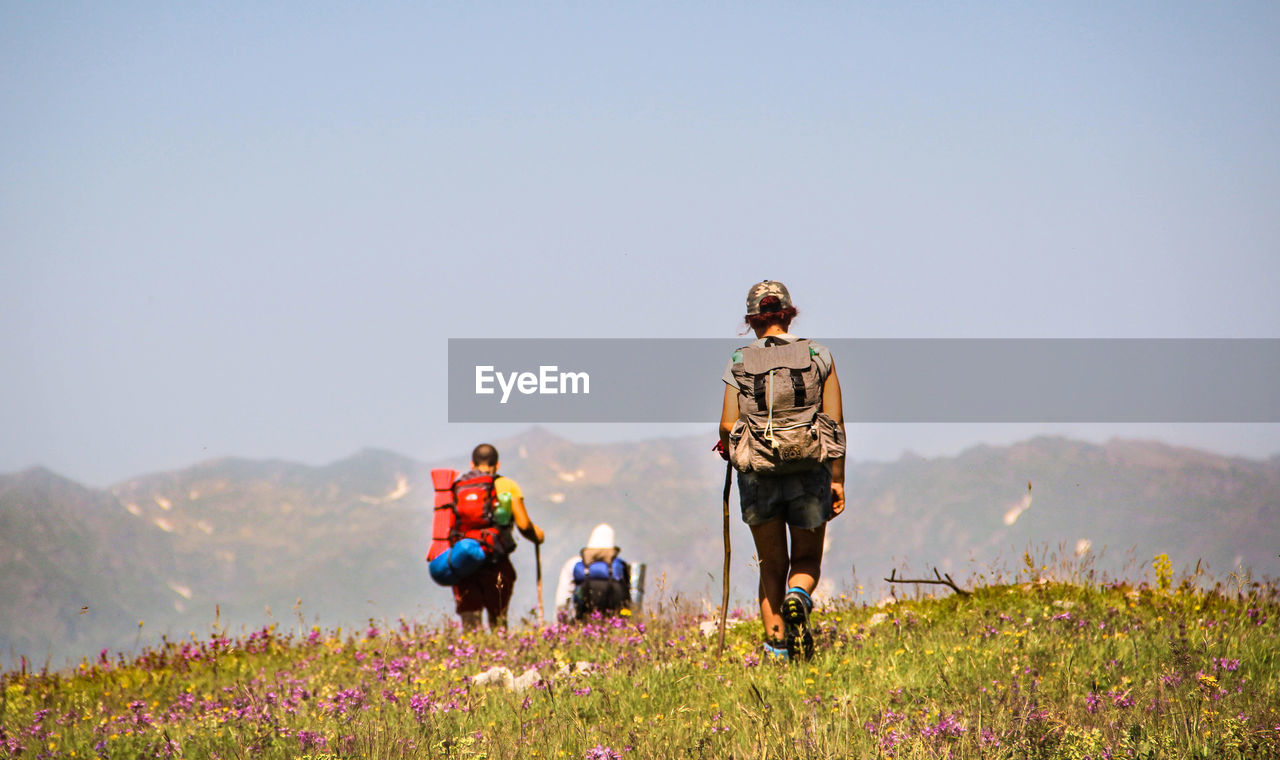 Rear view of hikers walking on grassy hill against clear sky