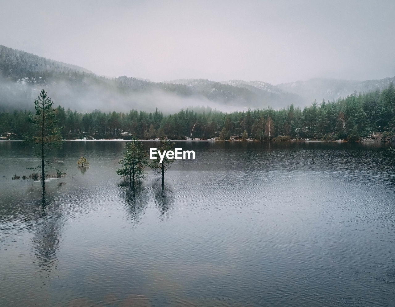 LAKE BY TREES AGAINST SKY