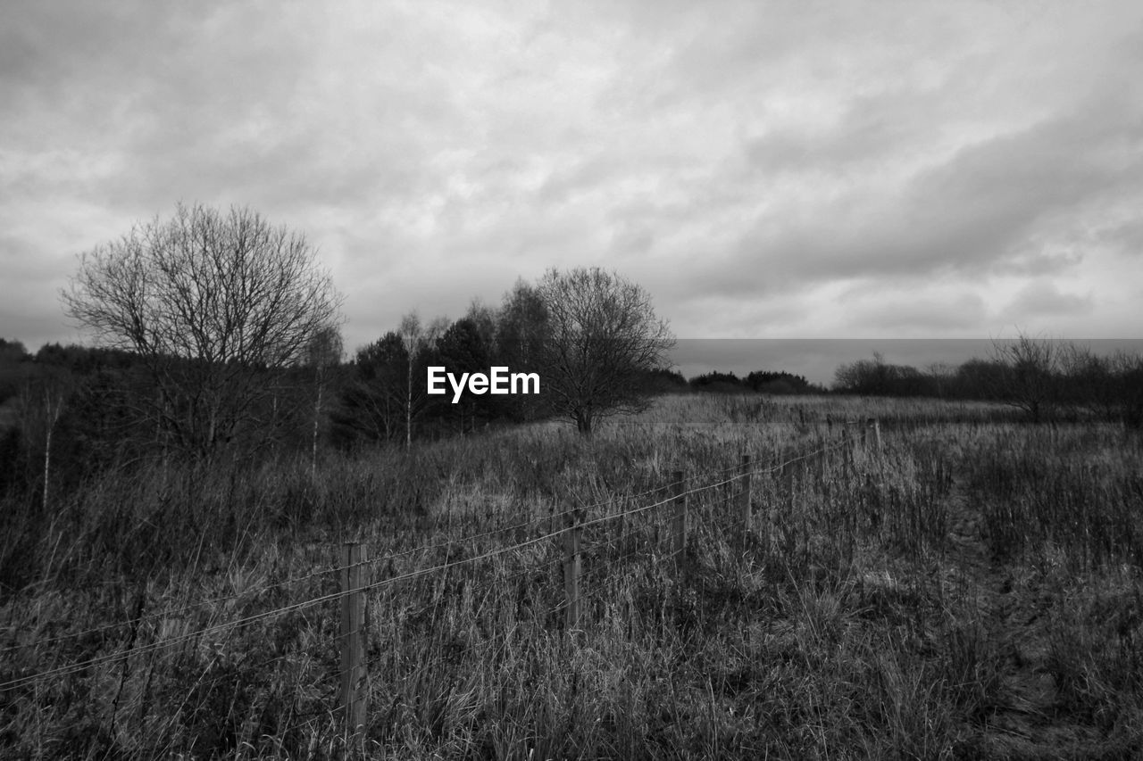 SCENIC VIEW OF LAND AGAINST SKY