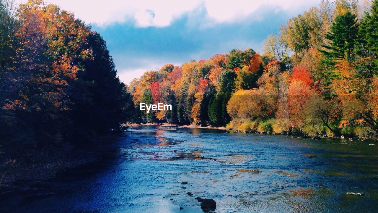 River amidst trees during autumn against sky