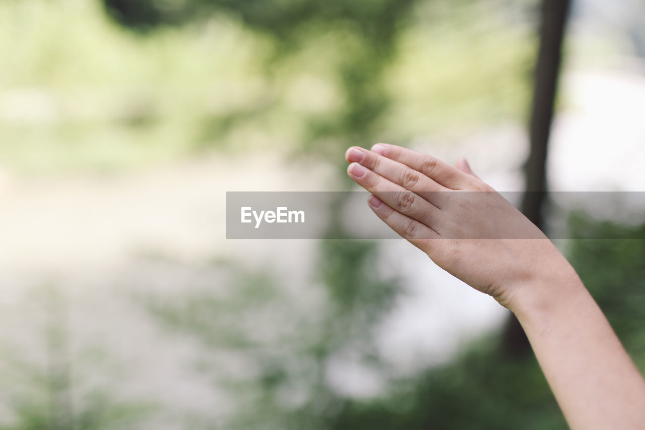 Cropped hand of person in forest