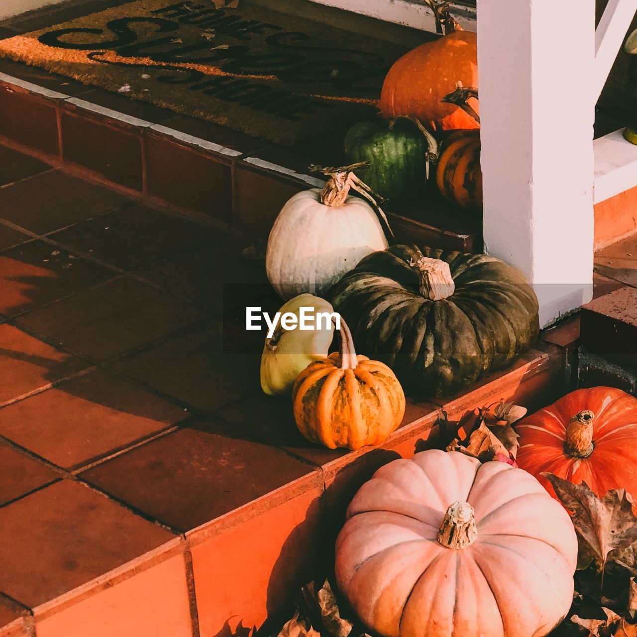 HIGH ANGLE VIEW OF PUMPKINS ON TILED FLOOR AT STADIUM