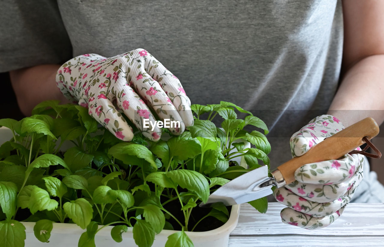 midsection of woman with flowers