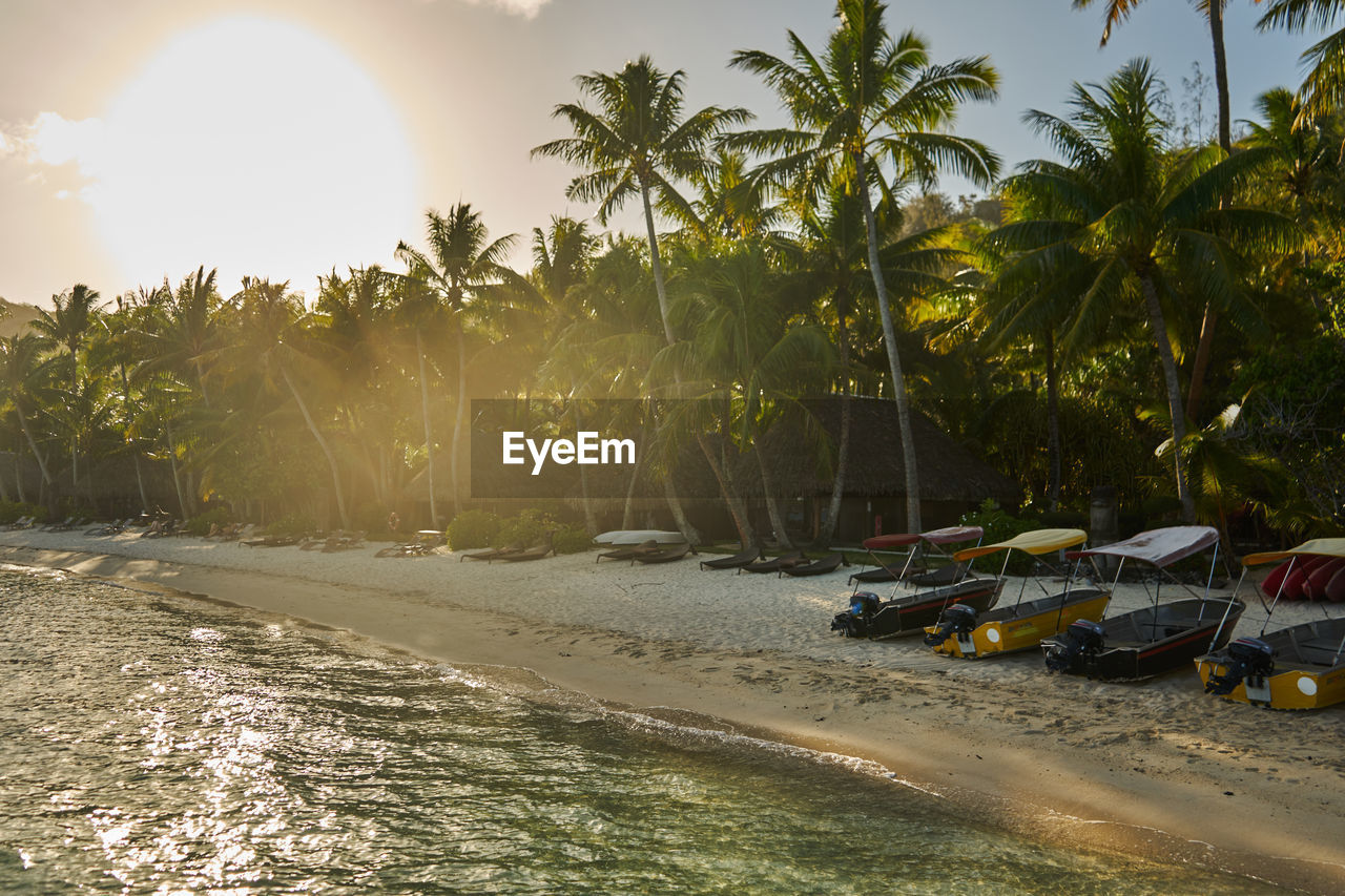 Palm trees on beach against sky during sunset