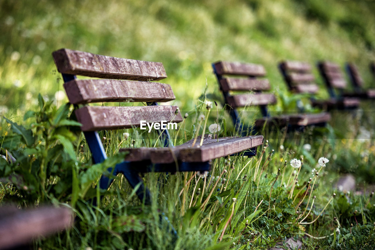 Empty benches on grassy field