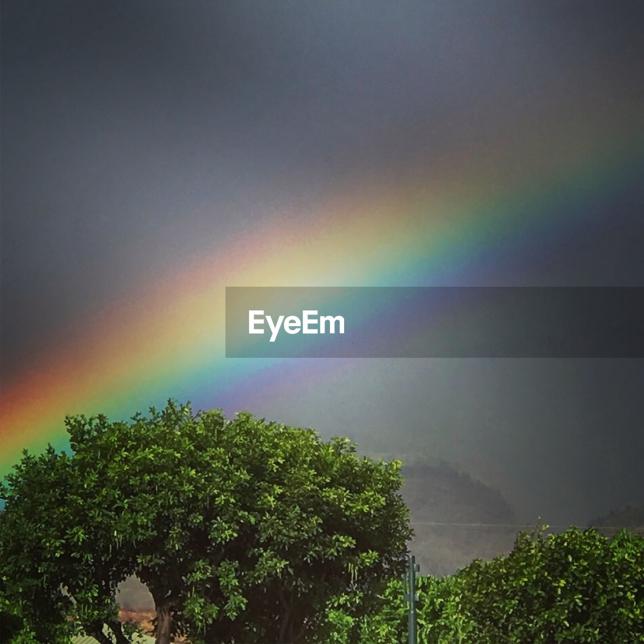 SCENIC VIEW OF RAINBOW OVER TREES