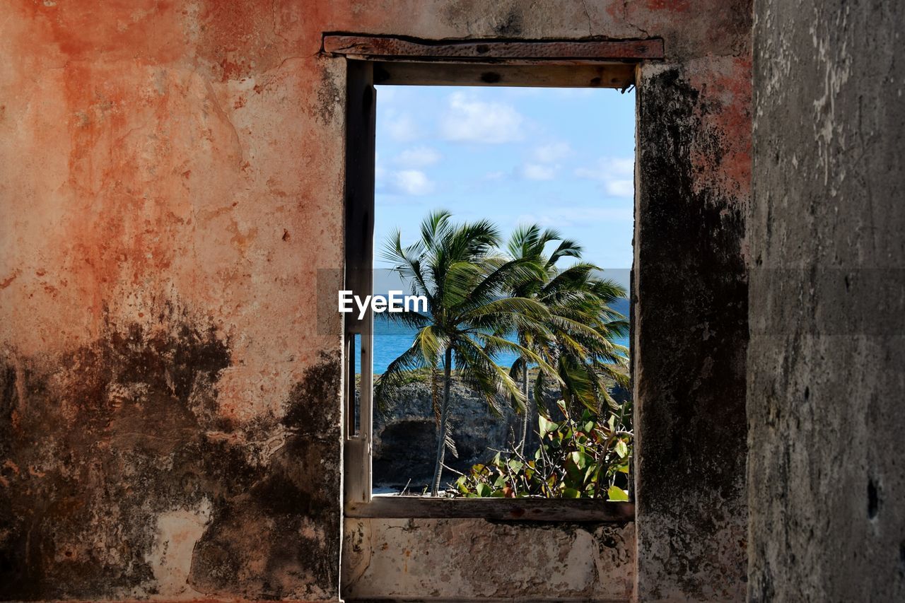 Close-up of abandoned window