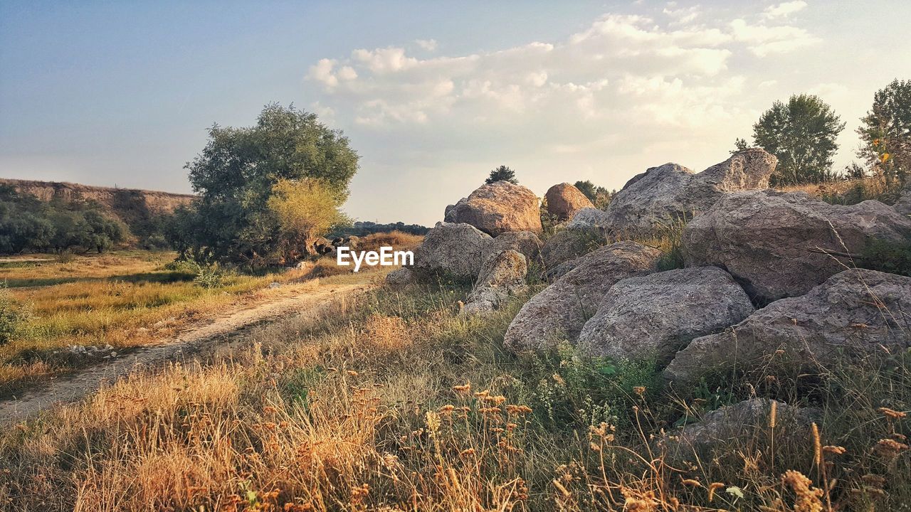 Rock formations at parcul gheraiesti against sky