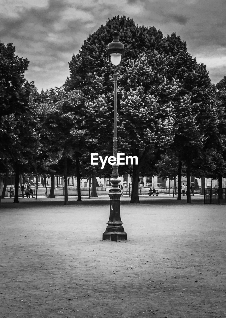 Low angle view of street light on field against trees