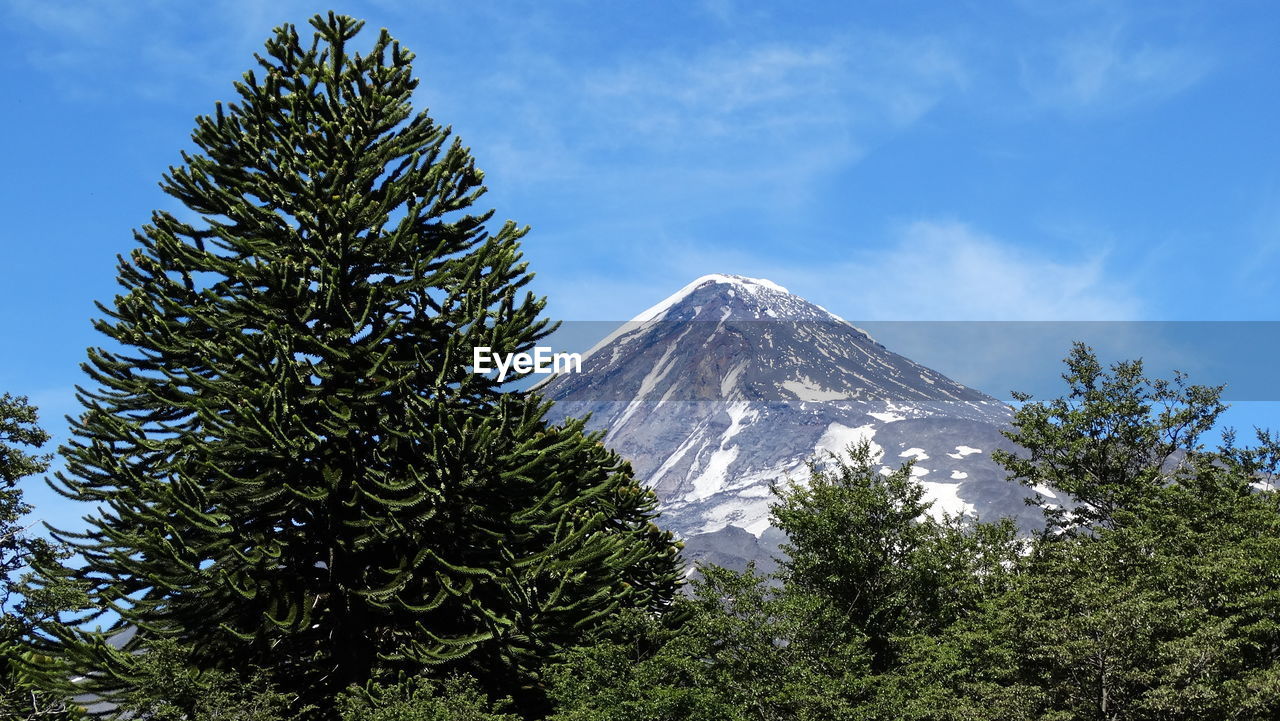 Low angle view of mountain against blue sky