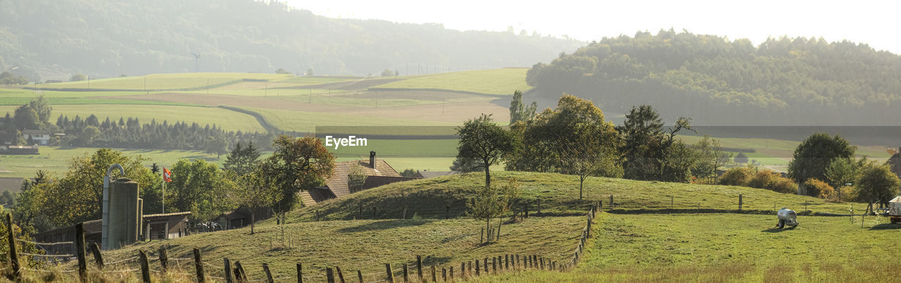 SCENIC VIEW OF AGRICULTURAL FIELD